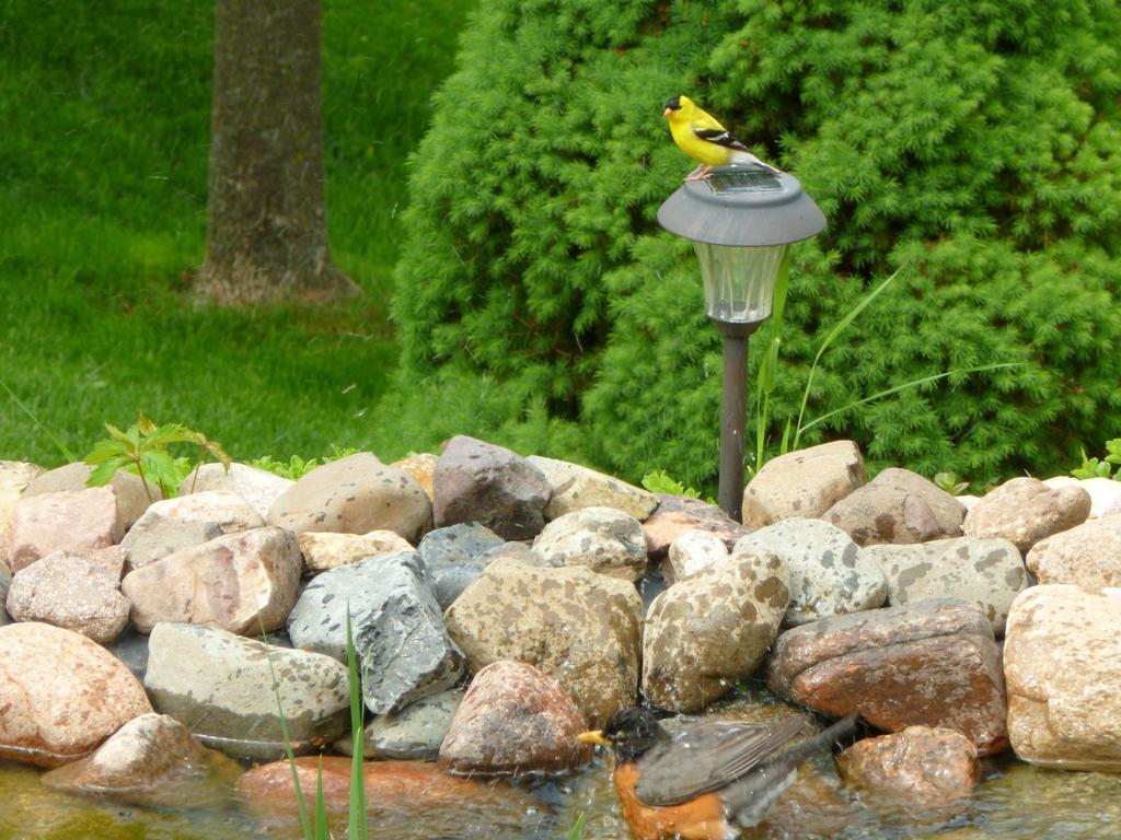 Trickling Waters Retreat Villa Marquette Exterior photo