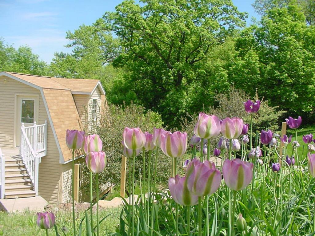 Trickling Waters Retreat Villa Marquette Exterior photo